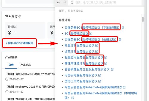 阿里云賠償?shù)劫~ 解析嗶哩嗶哩的信息技術(shù)咨詢服務(wù)價(jià)值
